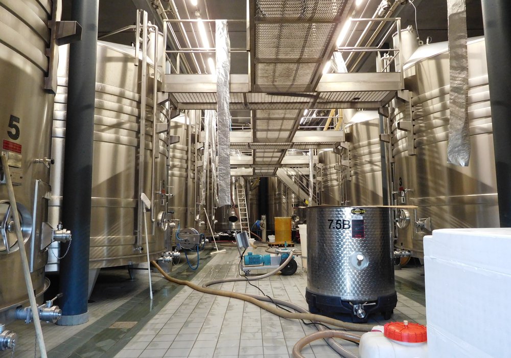 Industrijski pogon od nerđajućeg čelika za preradu i vinifikaciju