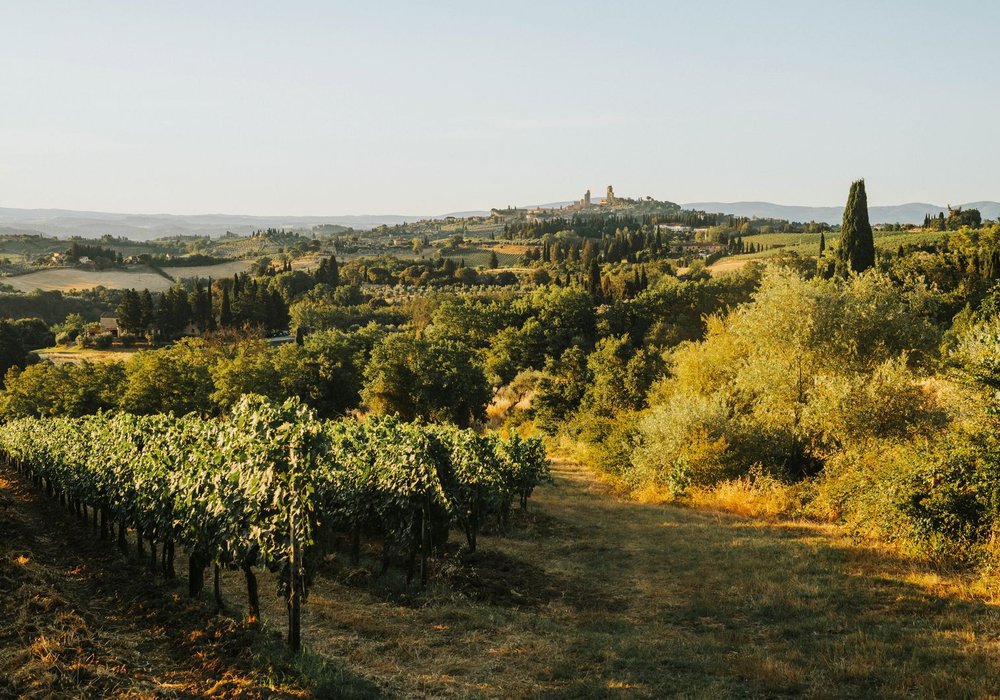 Vinski podrum i imanje za agroturizam i ruralni razvoj